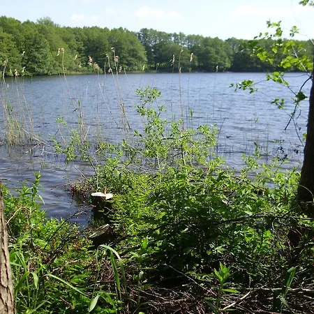 酒店 Garni Seeblick Am Sankelmarker See