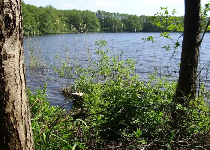 Hotel Garni Seeblick Am Sankelmarker See